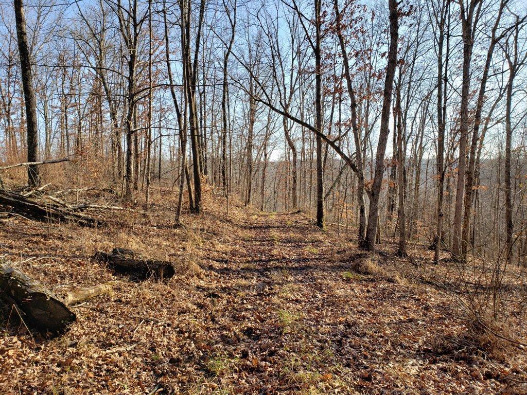 20333 Mission Road Amesville, OH 45711 - Photo 5 of 45