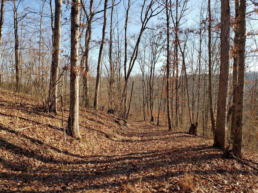 20333 Mission Road Amesville, OH 45711 - Photo 6 of 45
