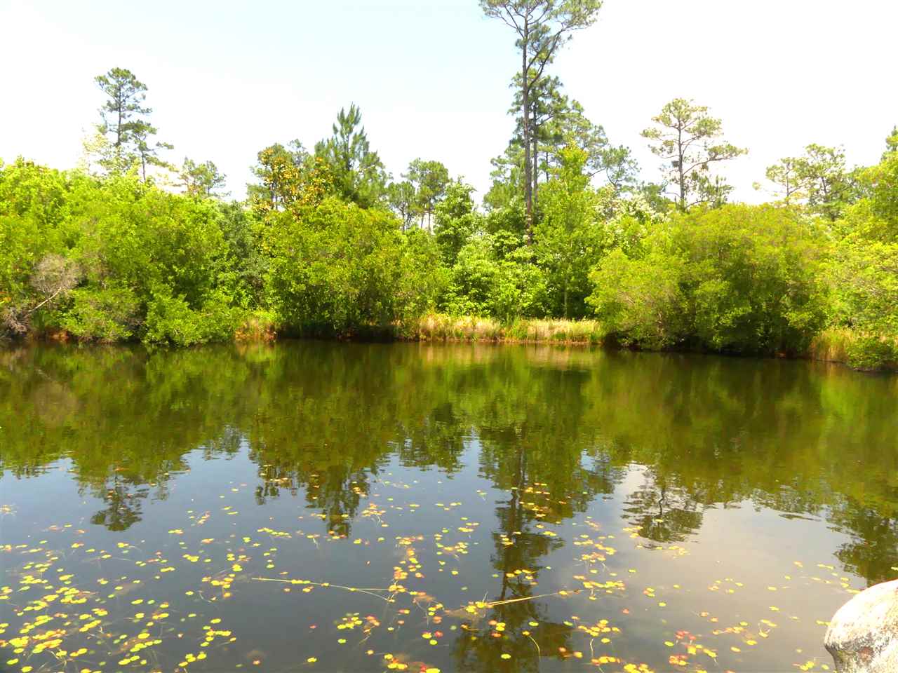 10390 County Road 83 Elberta, AL 36530 - Photo 16 of 22 Stocked Pond