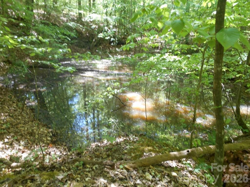 0 Tin Mine Road, Unit 1 Lincolnton, NC 28092 - Photo 11 of 13 Gallery Image 11