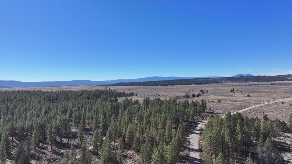 Oregon Pines Road, Unit TL 600 Sprague River, OR 97639 - Photo 6 of 52 5