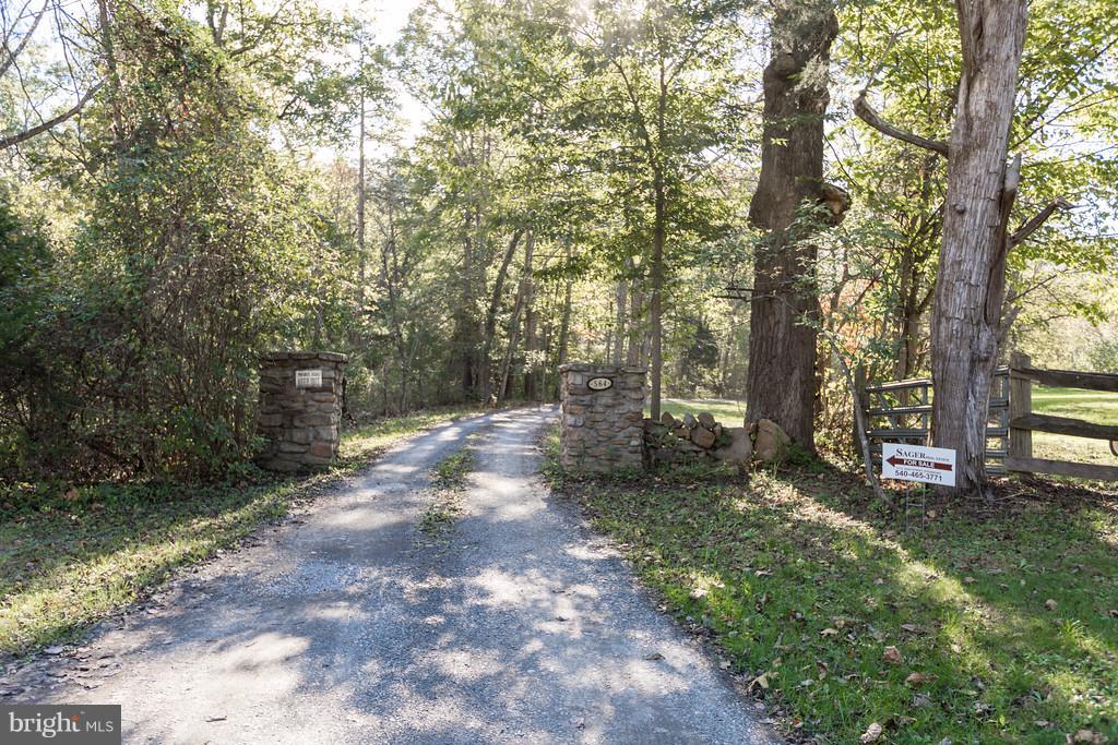 562 St Davids Church Road Fort Valley, VA 22652 - Photo 3 of 30 a view of a forest filled with trees