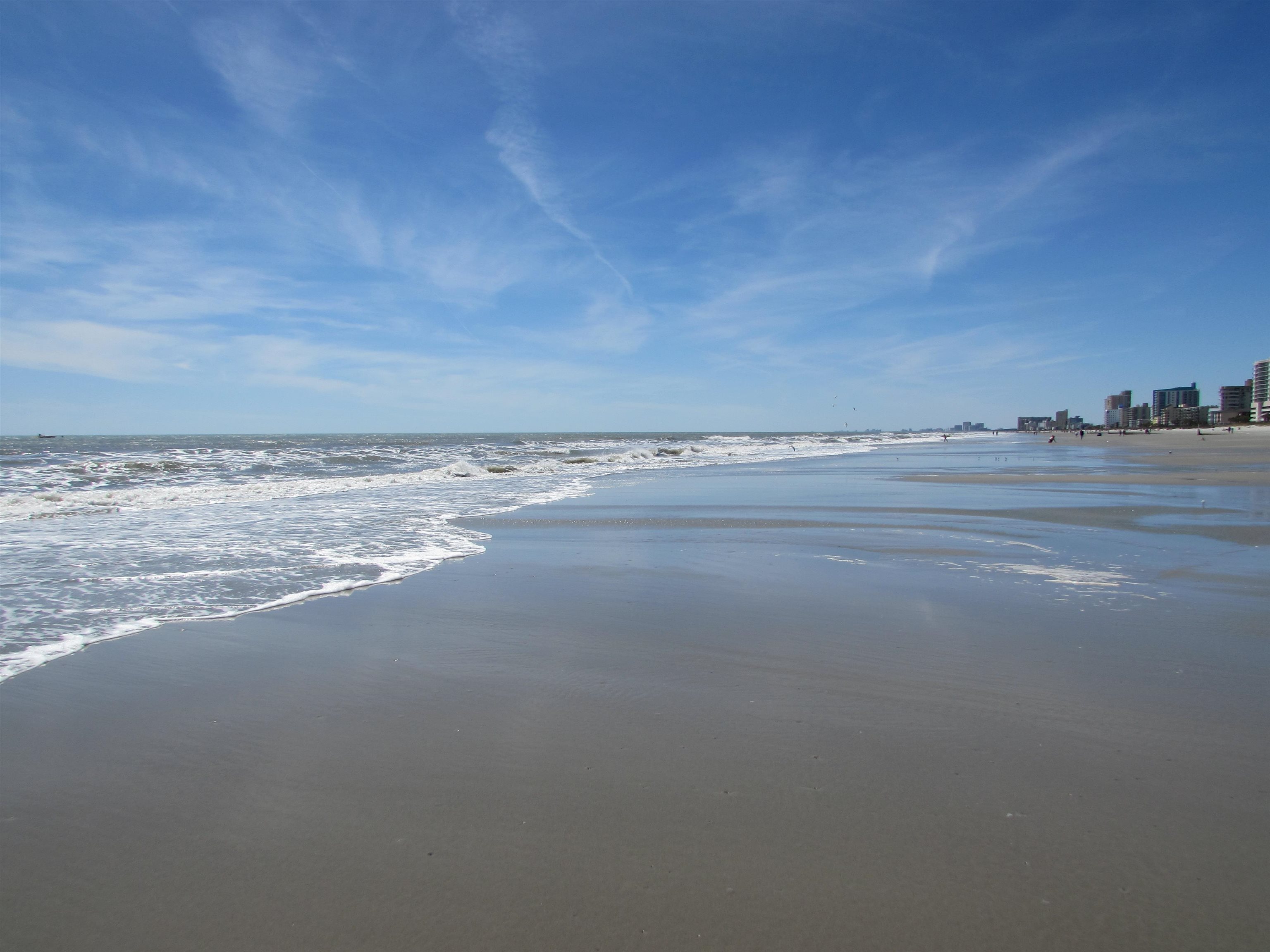 1534 Lanterns Rest Road, Unit 201 Myrtle Beach, SC 29579 - Photo 42 of 42