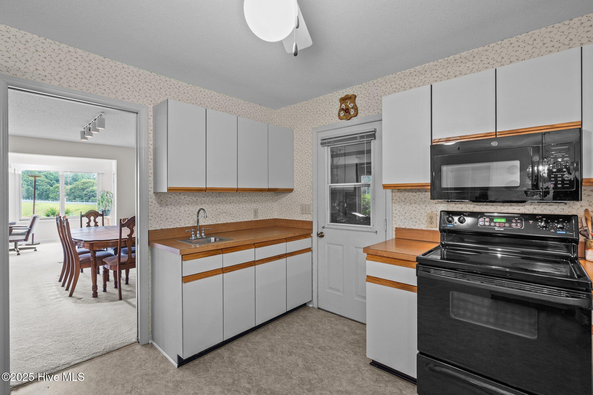 106 Millstone Road West End, NC 27376 - Photo 20 of 50 38-web-or-mls-DSC09960