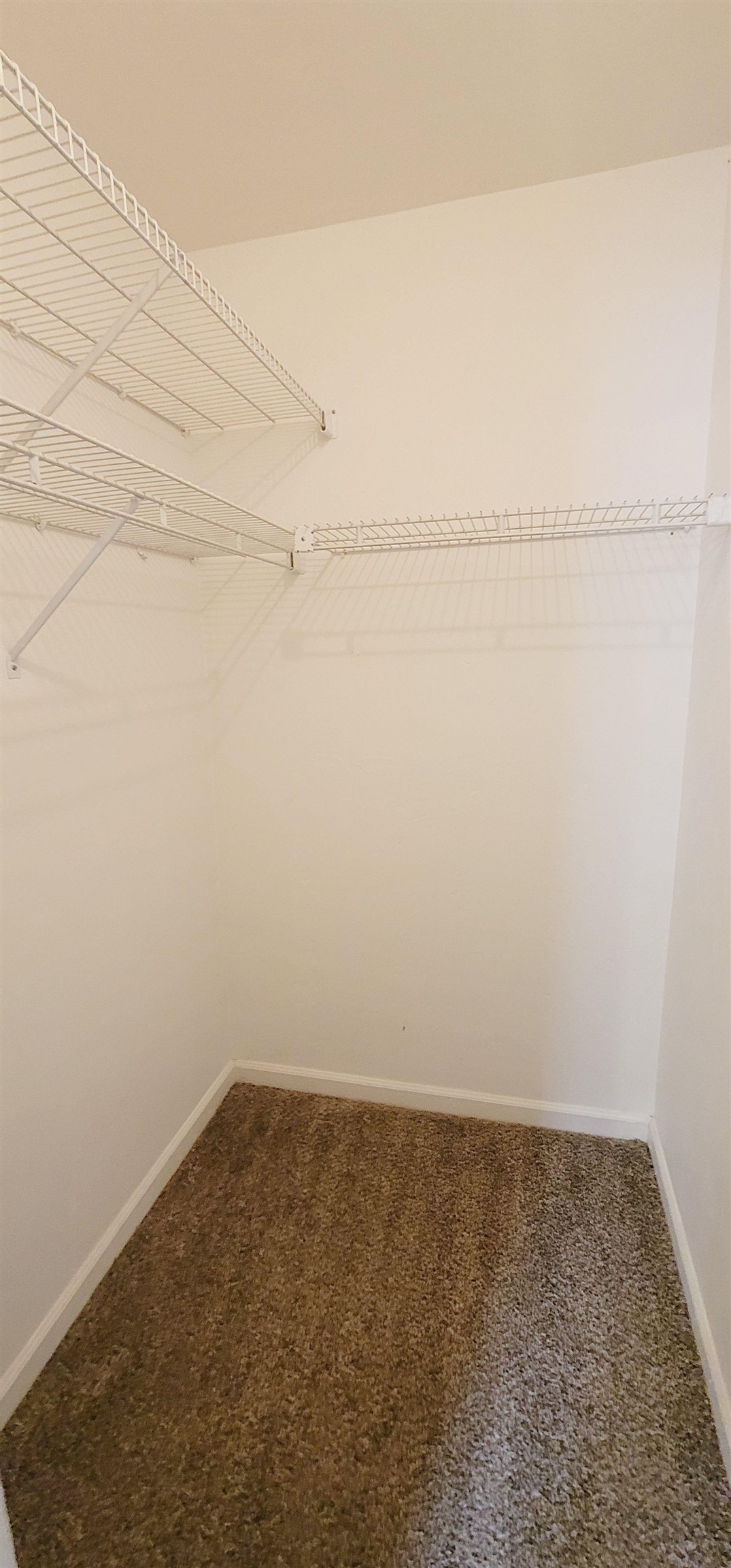 308 Belmont Road Tallahassee, FL 32301 - Photo 6 of 16