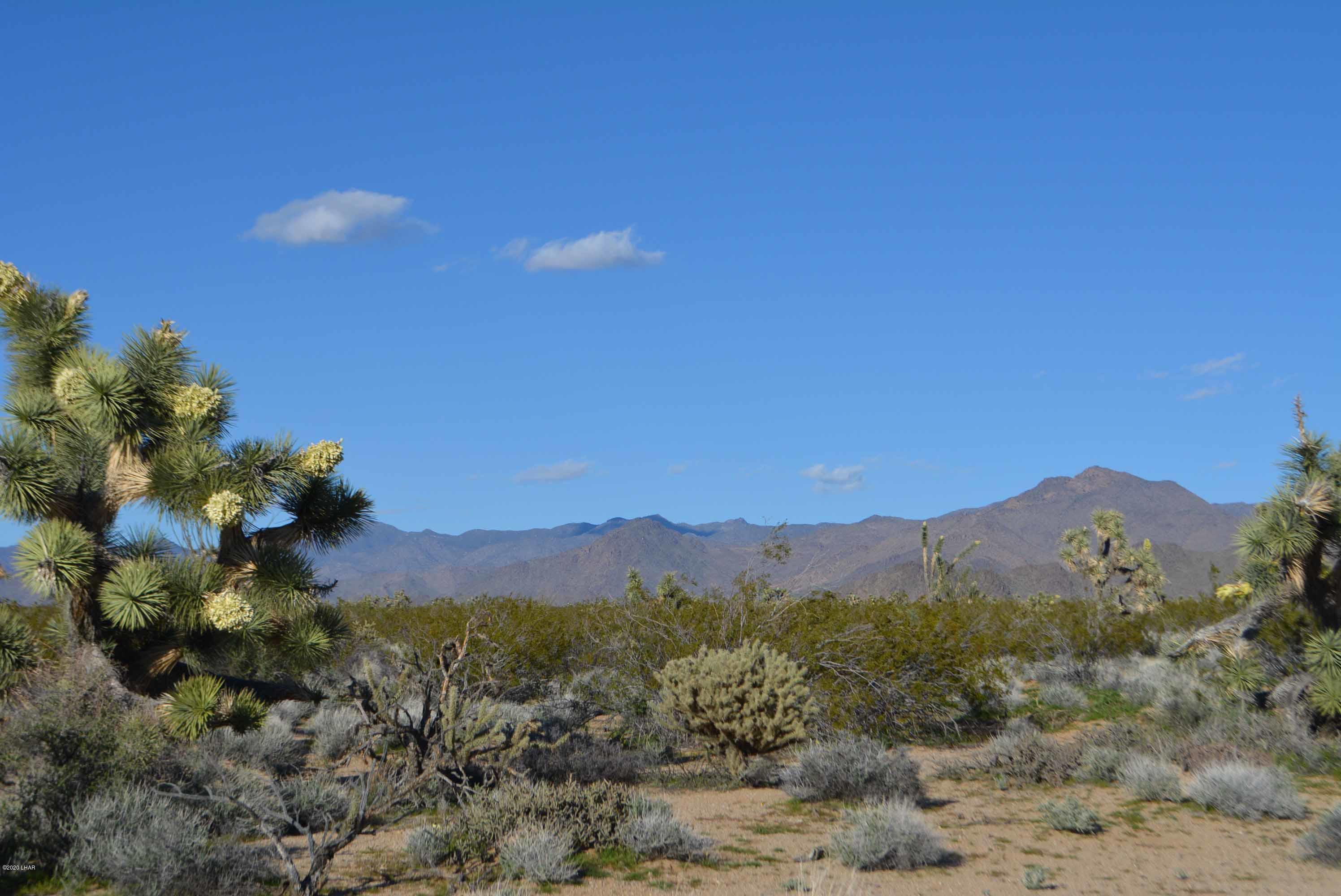 Lot 710 South Billy The Kid Road Yucca, AZ 86438 - Photo 1 of 19 DSC_0715