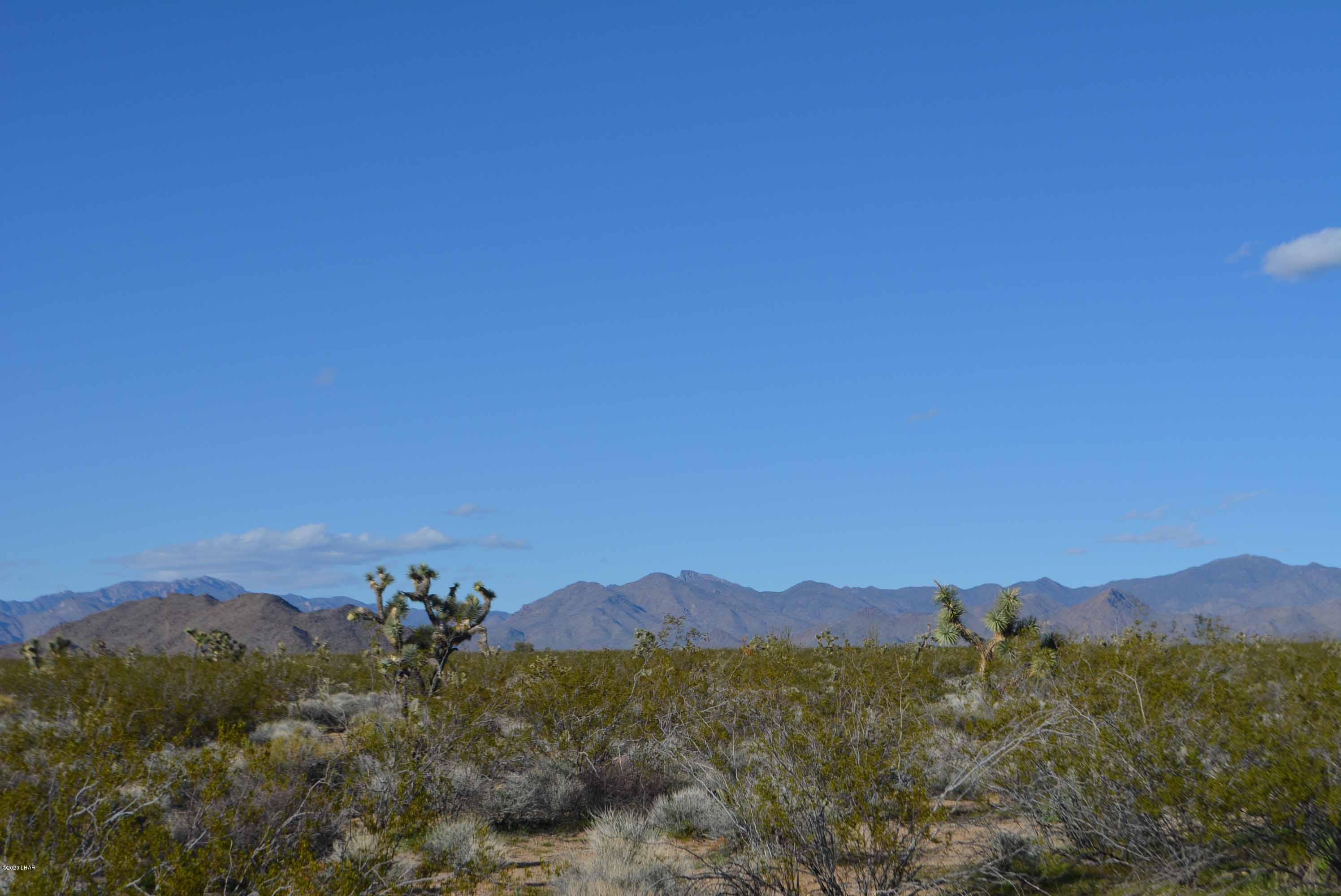 Lot 710 South Billy The Kid Road Yucca, AZ 86438 - Photo 11 of 19 DSC_0726