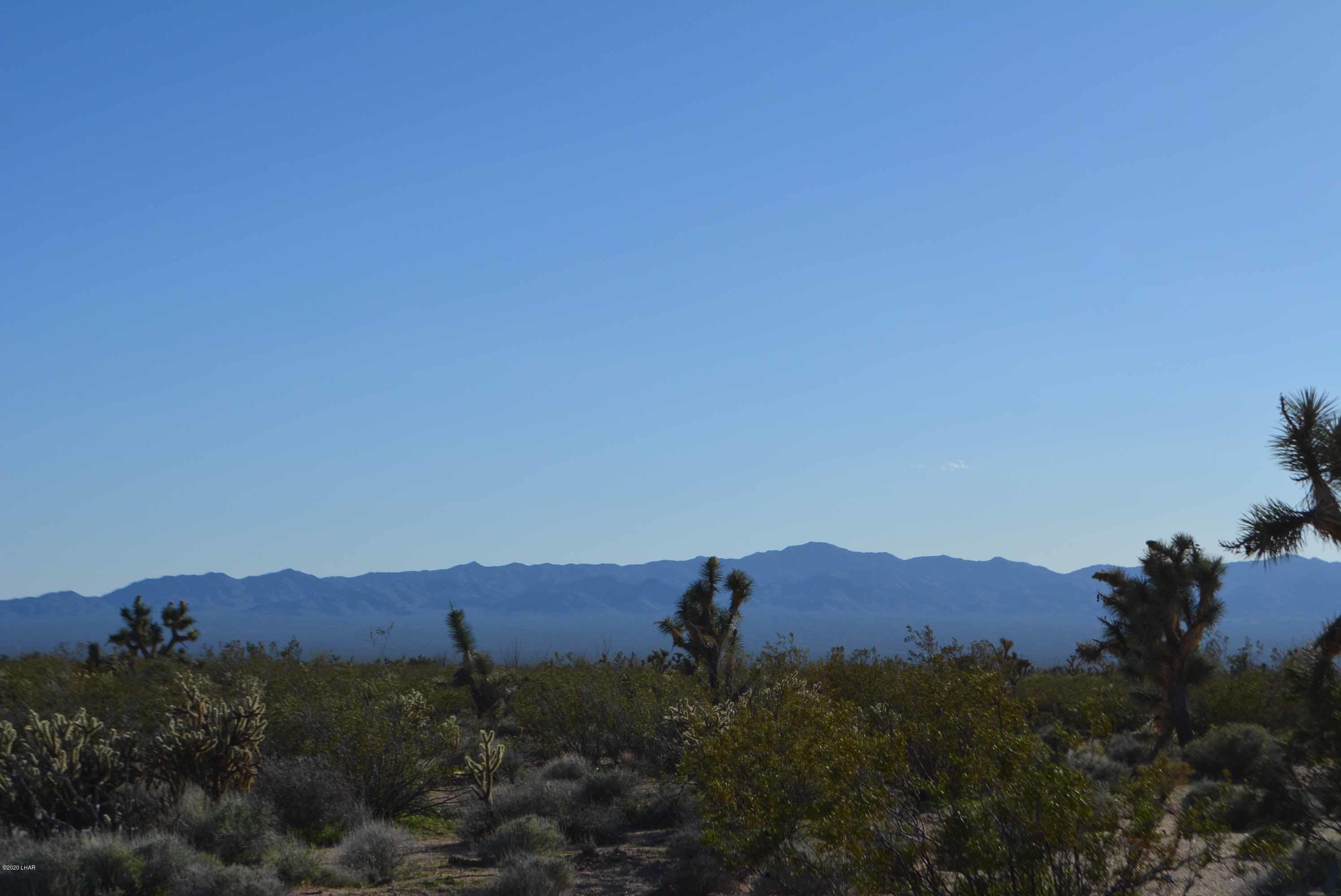 Lot 710 South Billy The Kid Road Yucca, AZ 86438 - Photo 12 of 19 DSC_0727