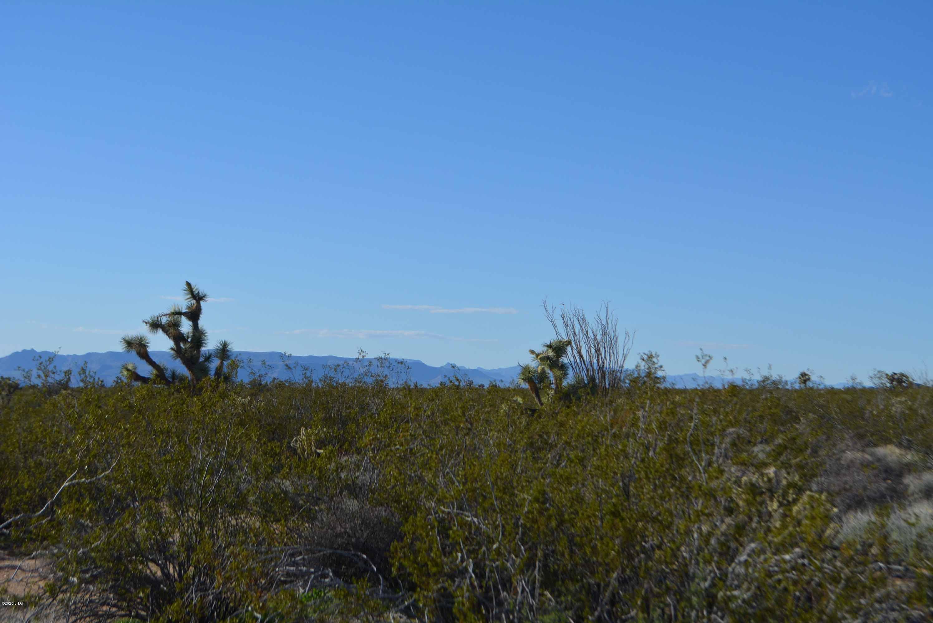 Lot 710 South Billy The Kid Road Yucca, AZ 86438 - Photo 14 of 19 DSC_0729