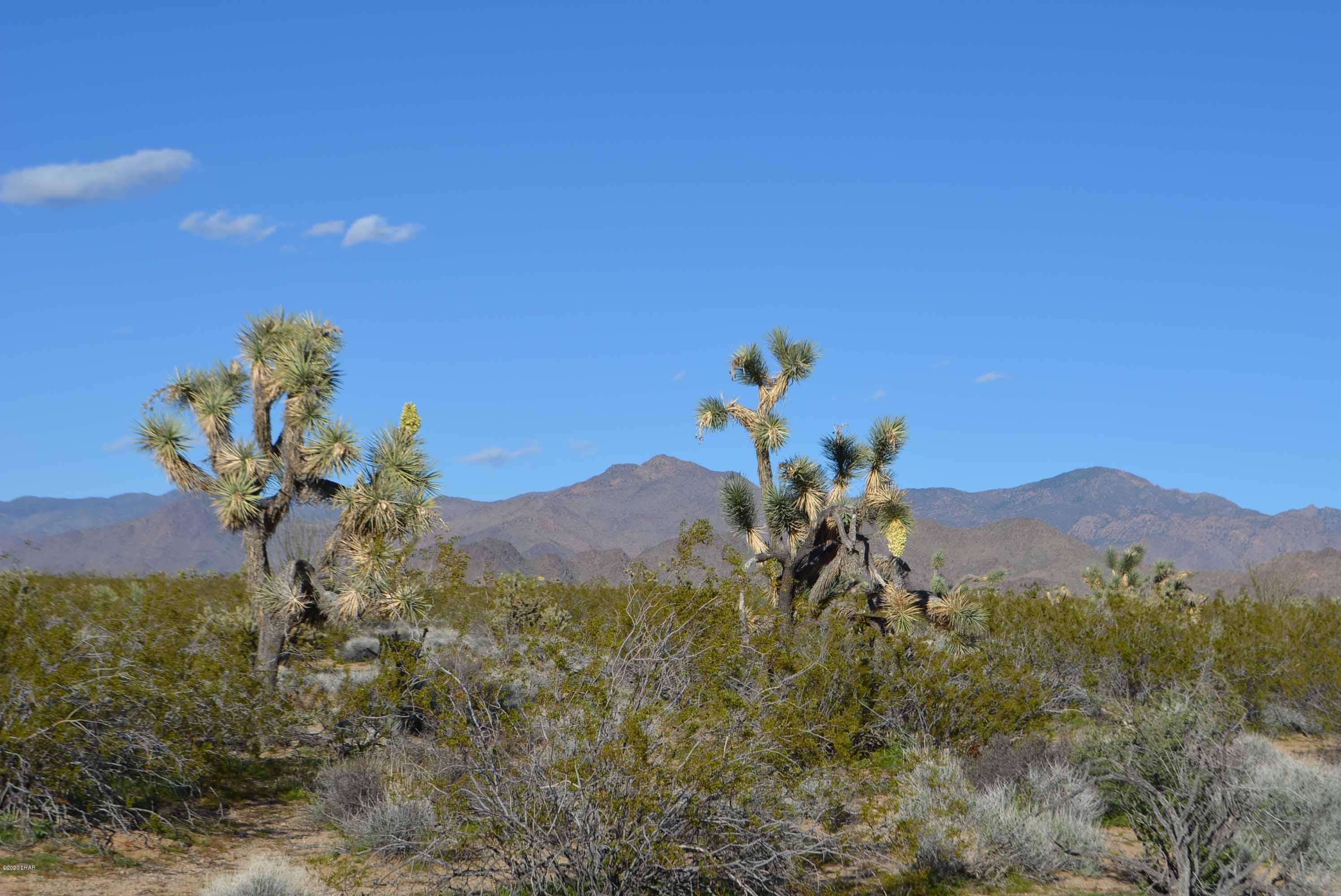 Lot 710 South Billy The Kid Road Yucca, AZ 86438 - Photo 15 of 19 DSC_0730