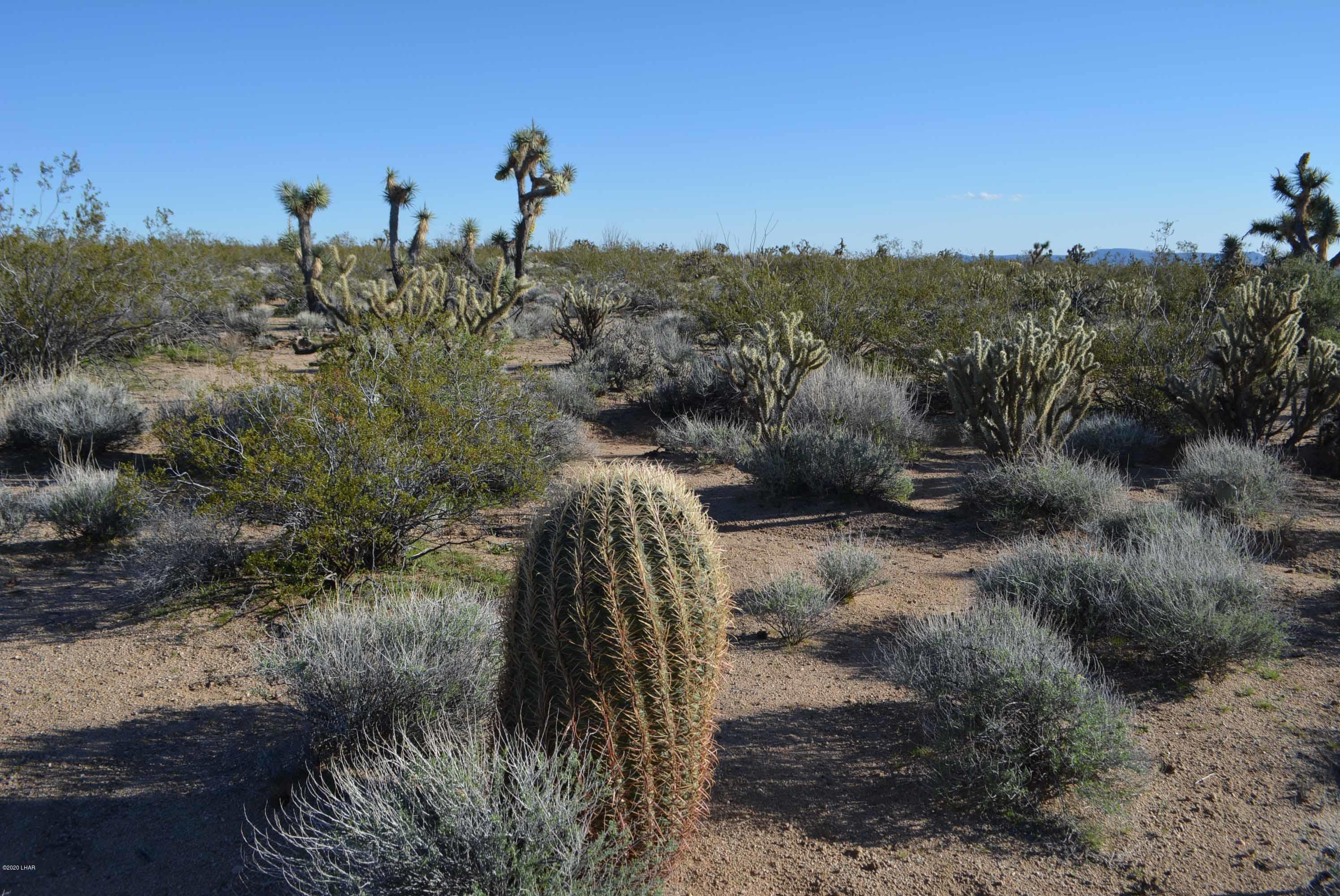 Lot 710 South Billy The Kid Road Yucca, AZ 86438 - Photo 19 of 19 DSC_0734