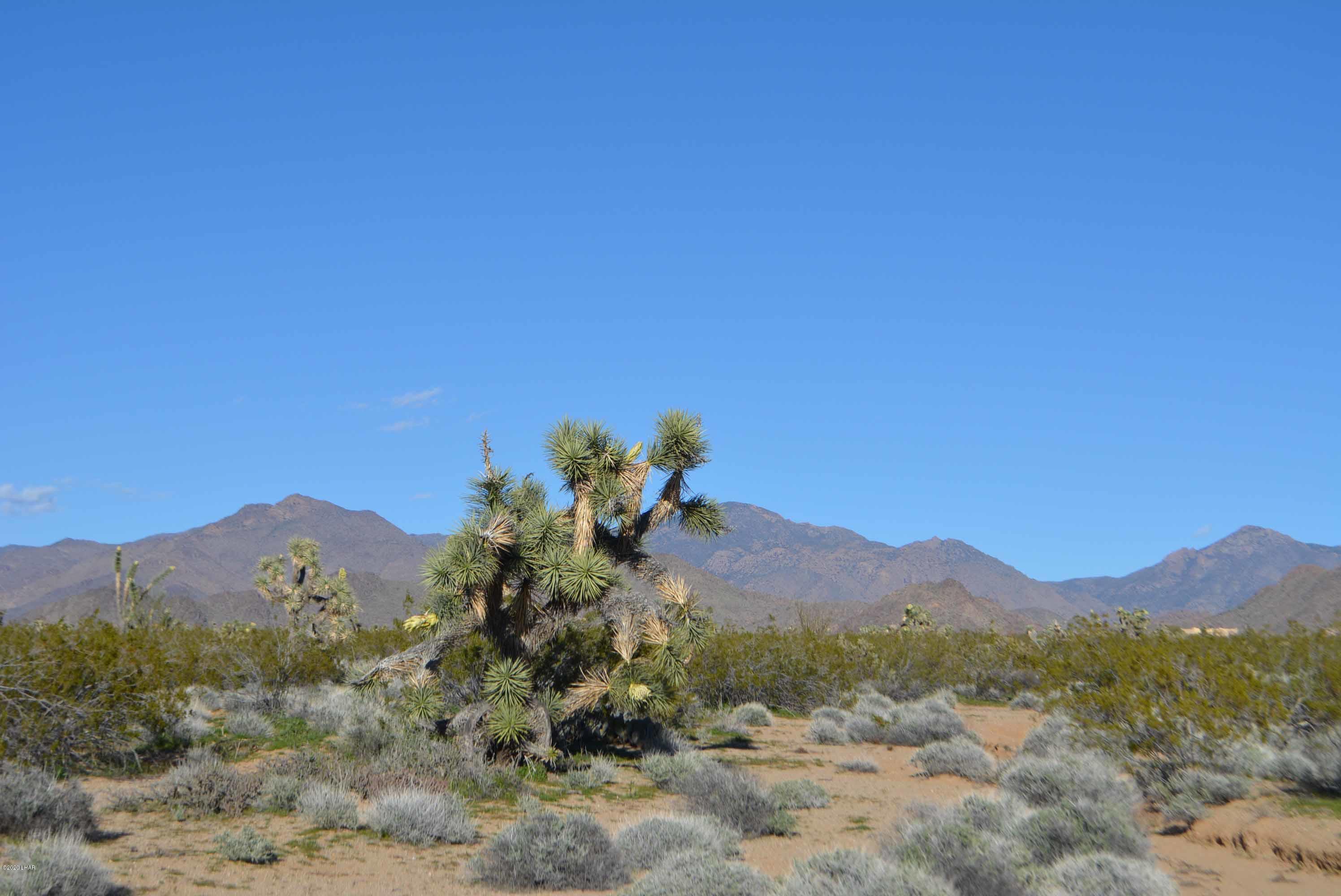 Lot 710 South Billy The Kid Road Yucca, AZ 86438 - Photo 3 of 19 DSC_0714