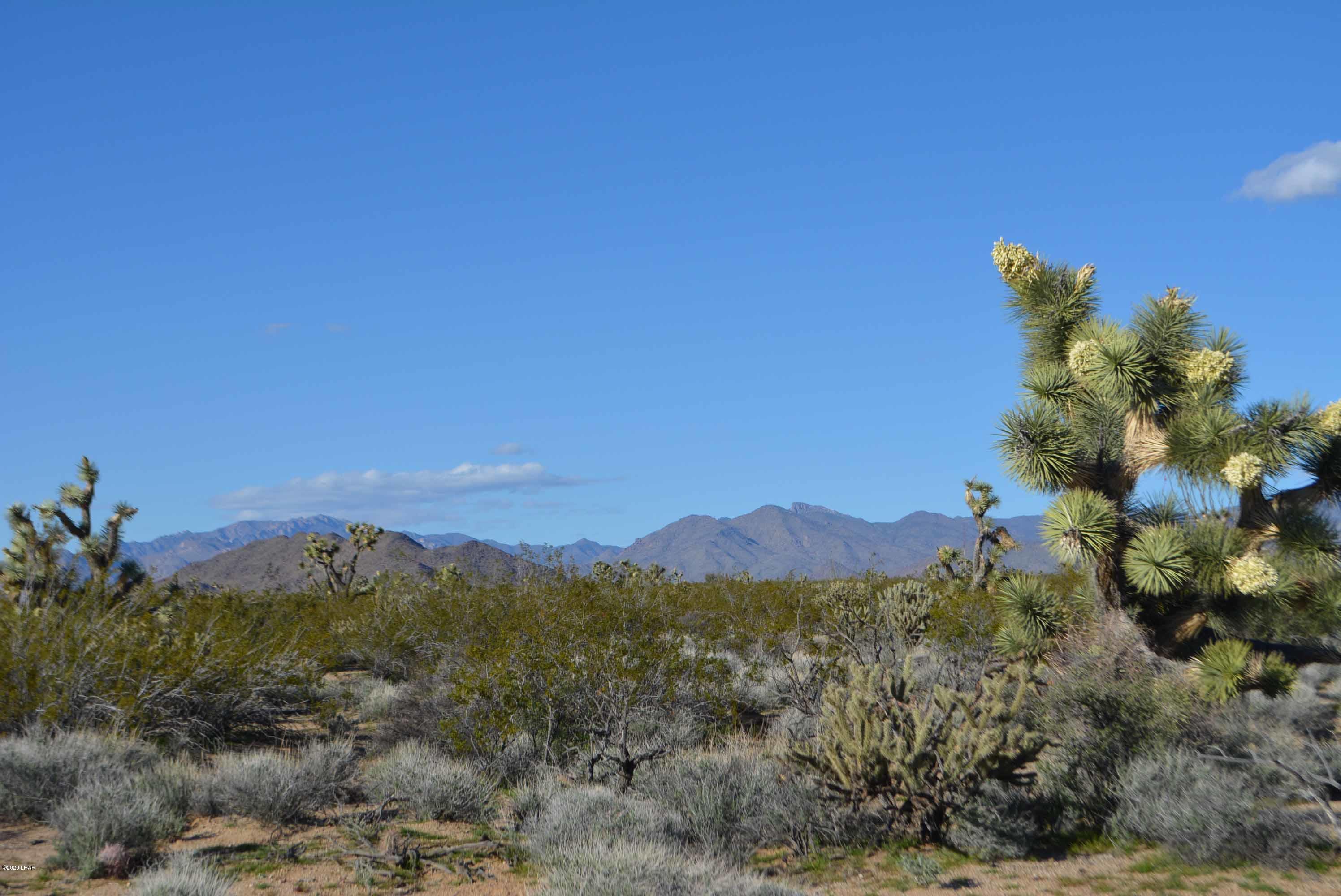 Lot 710 South Billy The Kid Road Yucca, AZ 86438 - Photo 5 of 19 DSC_0717