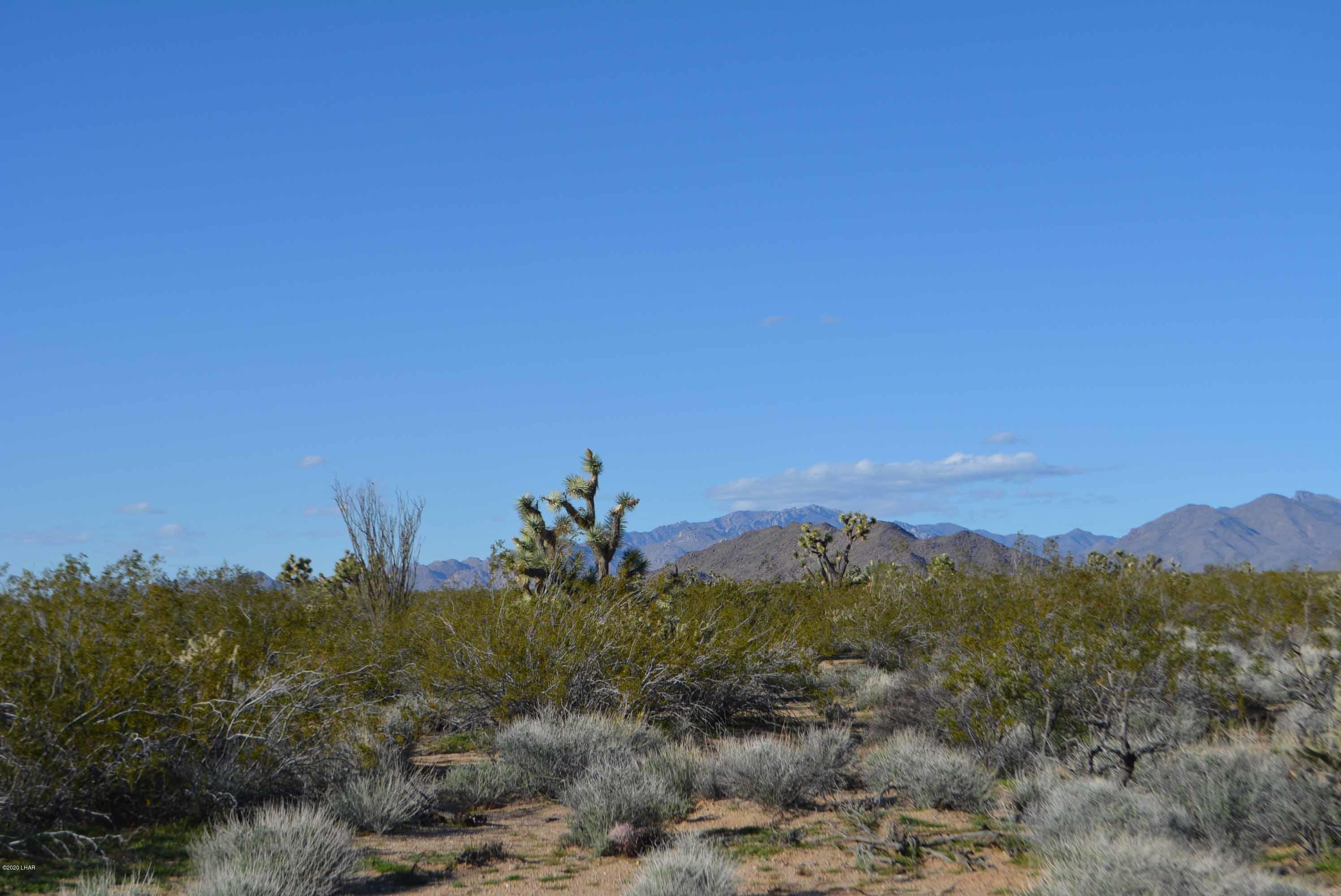 Lot 710 South Billy The Kid Road Yucca, AZ 86438 - Photo 6 of 19 DSC_0718