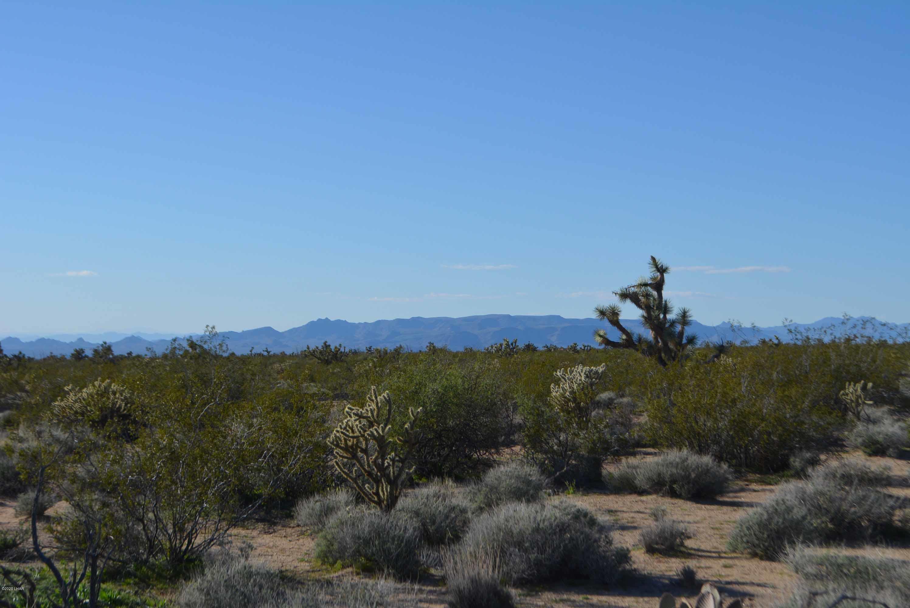 Lot 710 South Billy The Kid Road Yucca, AZ 86438 - Photo 7 of 19 DSC_0721
