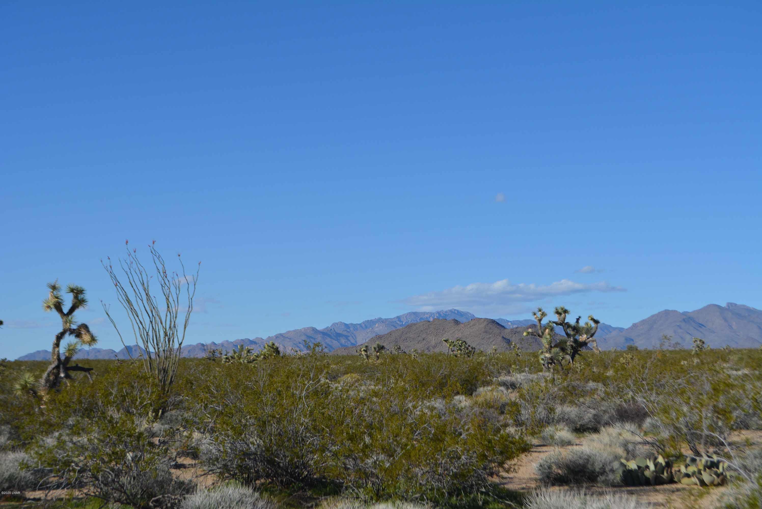 Lot 710 South Billy The Kid Road Yucca, AZ 86438 - Photo 8 of 19 DSC_0722