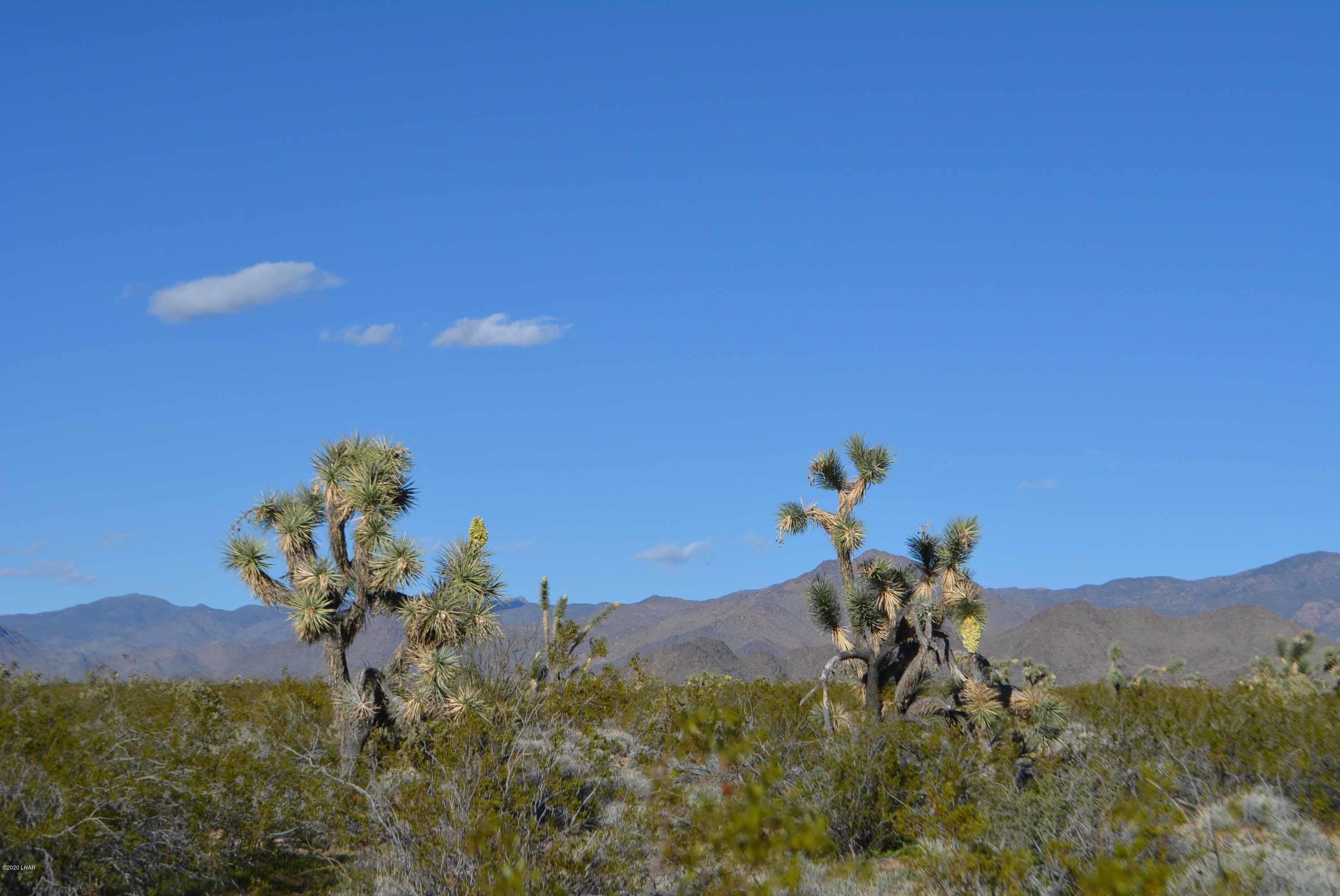 Lot 710 South Billy The Kid Road Yucca, AZ 86438 - Photo 9 of 19 DSC_0723