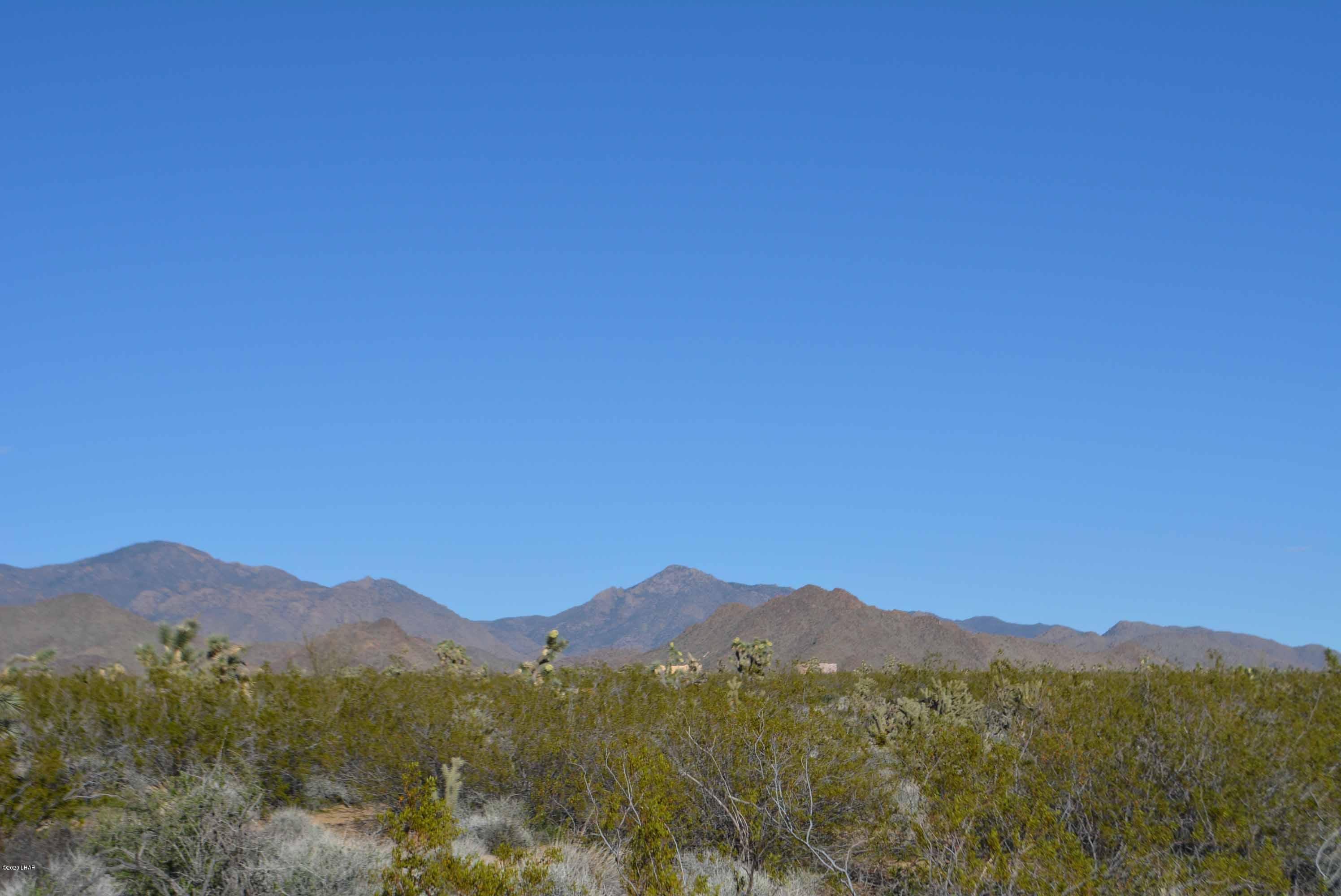 Lot 710 South Billy The Kid Road Yucca, AZ 86438 - Photo 10 of 19 DSC_0724