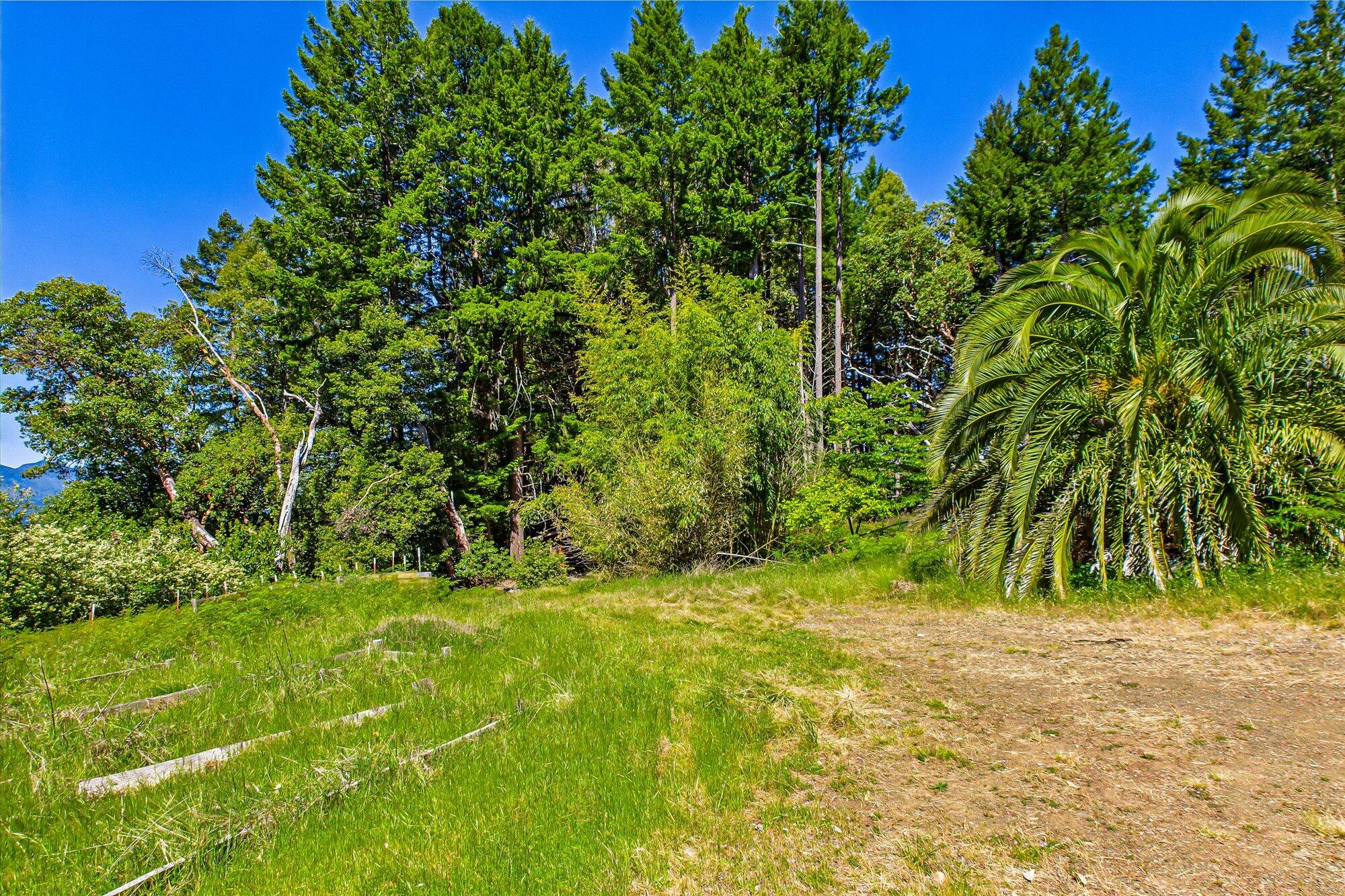 7222 Doody Ridge Road Garberville, CA 95542 - Photo 22 of 73 26-7222 Doody Ridge-125