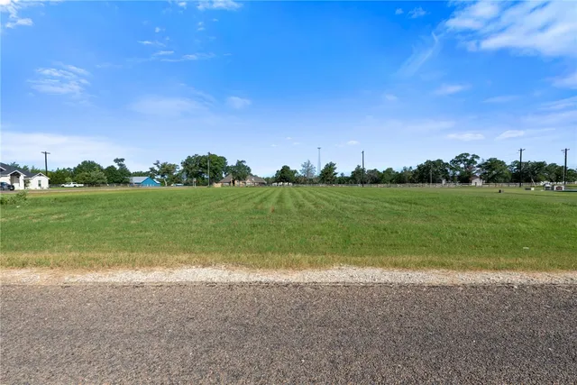 a view of a field with grass and trees