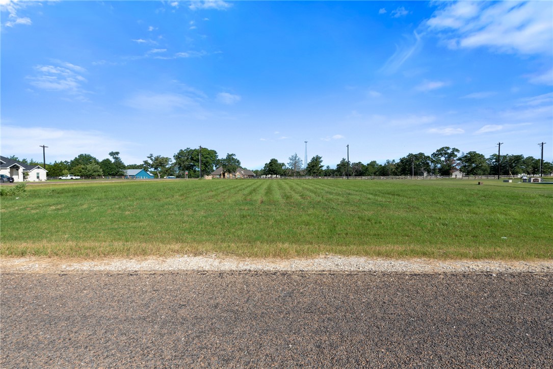 7801 Mathis Crk Drive Bryan, TX 77808 - Photo 9 of 12 a view of a field with grass and trees
