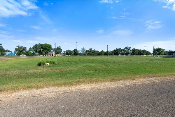 a view of a field with grass and a trees