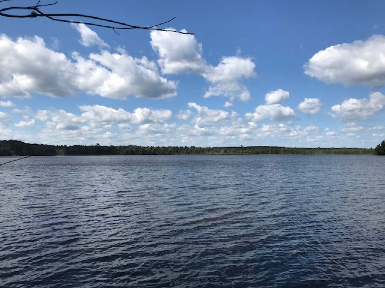 On Little Portage Lake Road Land O'Lakes, WI 54540 - Photo 1 of 8 Gallery Image 1