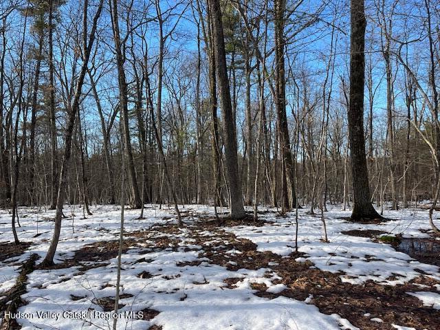 L21.2 Fern Hill Road Ghent, NY 12075 - Photo 3 of 9 Image 2