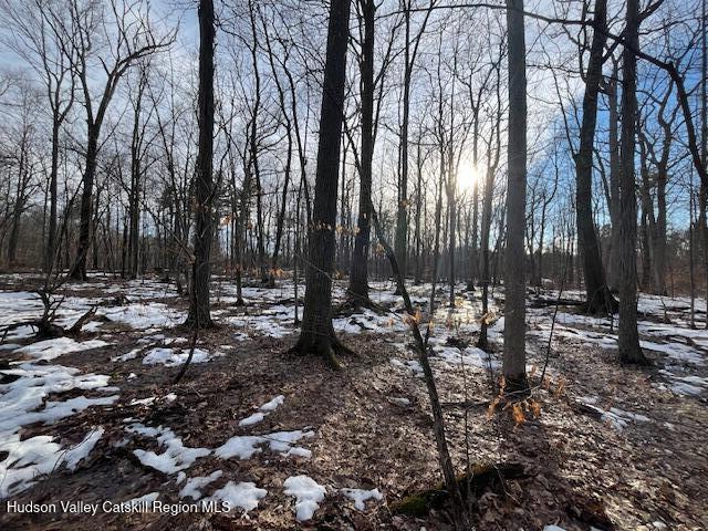 L21.2 Fern Hill Road Ghent, NY 12075 - Photo 5 of 9 Image 4