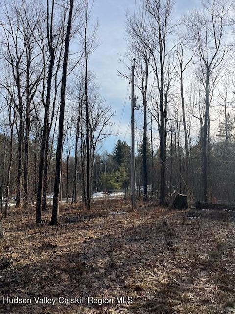 L21.2 Fern Hill Road Ghent, NY 12075 - Photo 6 of 9 Electricity and View to Road