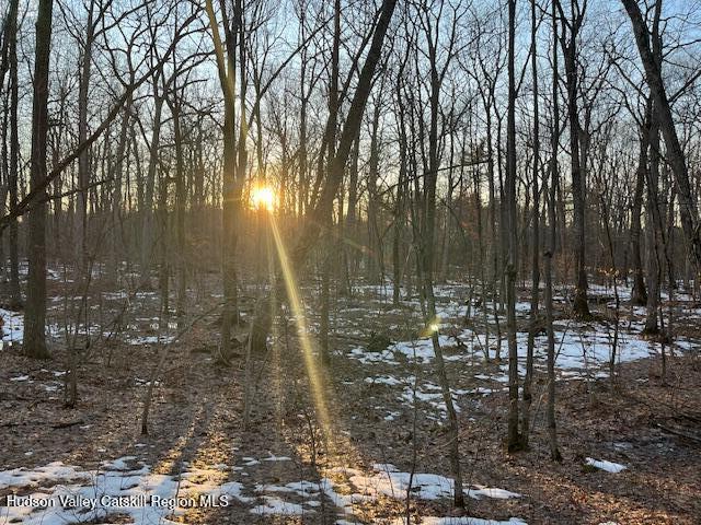 L21.2 Fern Hill Road Ghent, NY 12075 - Photo 7 of 9 Image 5