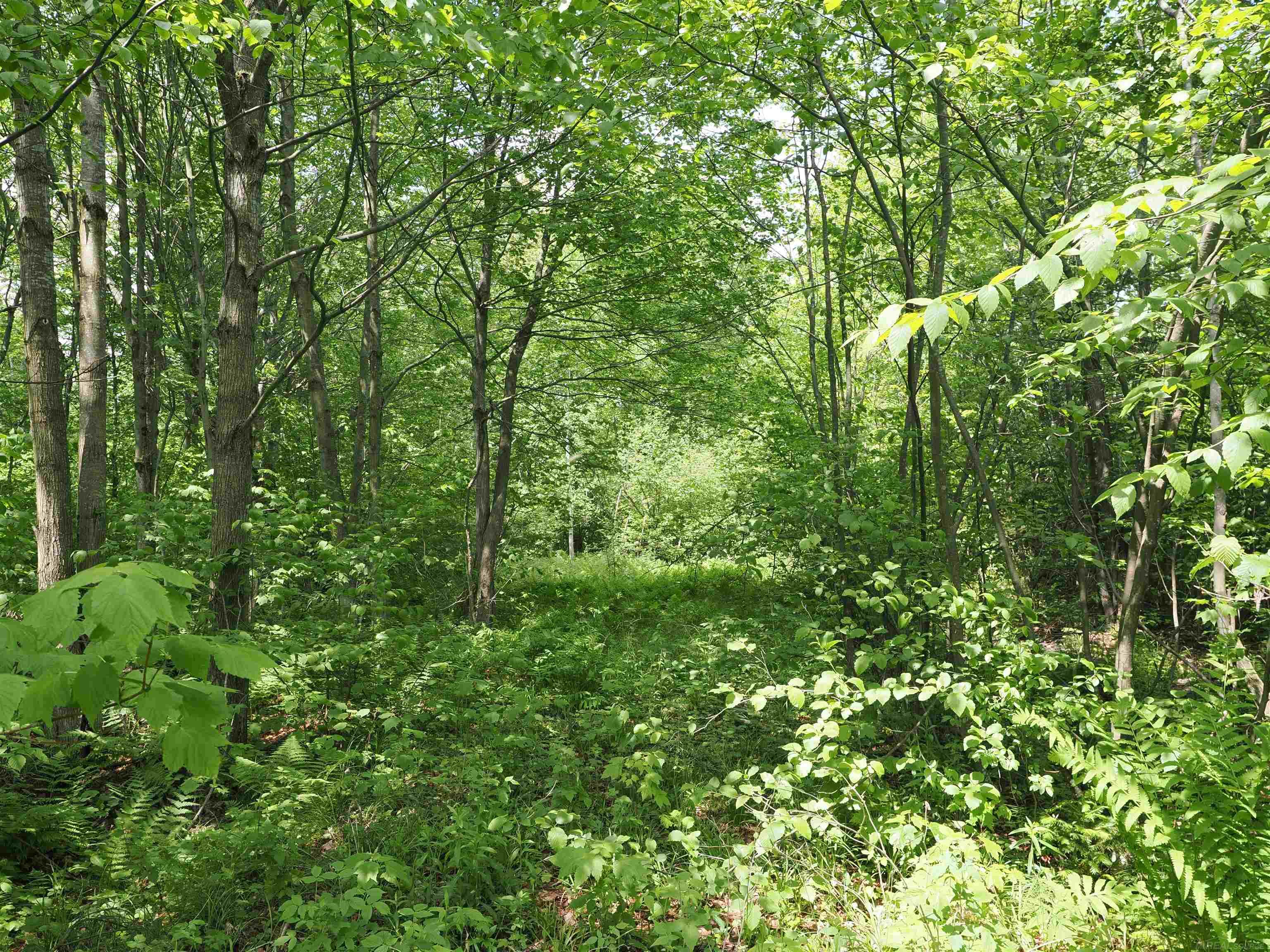 5 West 5 Mile Road Sault Ste. Marie, MI 49783 - Photo 28 of 30