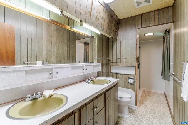 a bathroom with a sink a toilet and a mirror