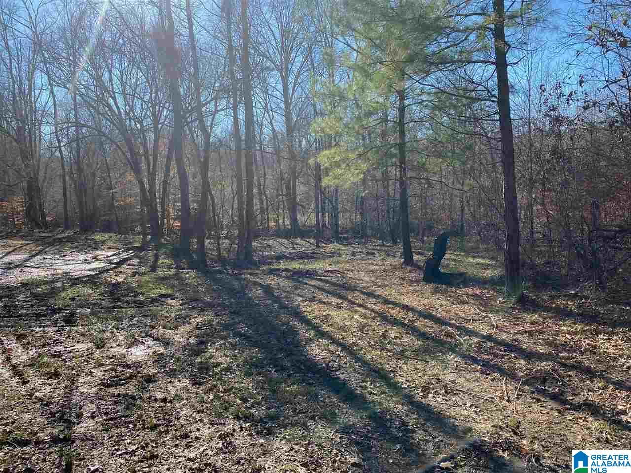 1837 Westover Road, Unit 1 Sterrett, AL 35147 - Photo 2 of 4