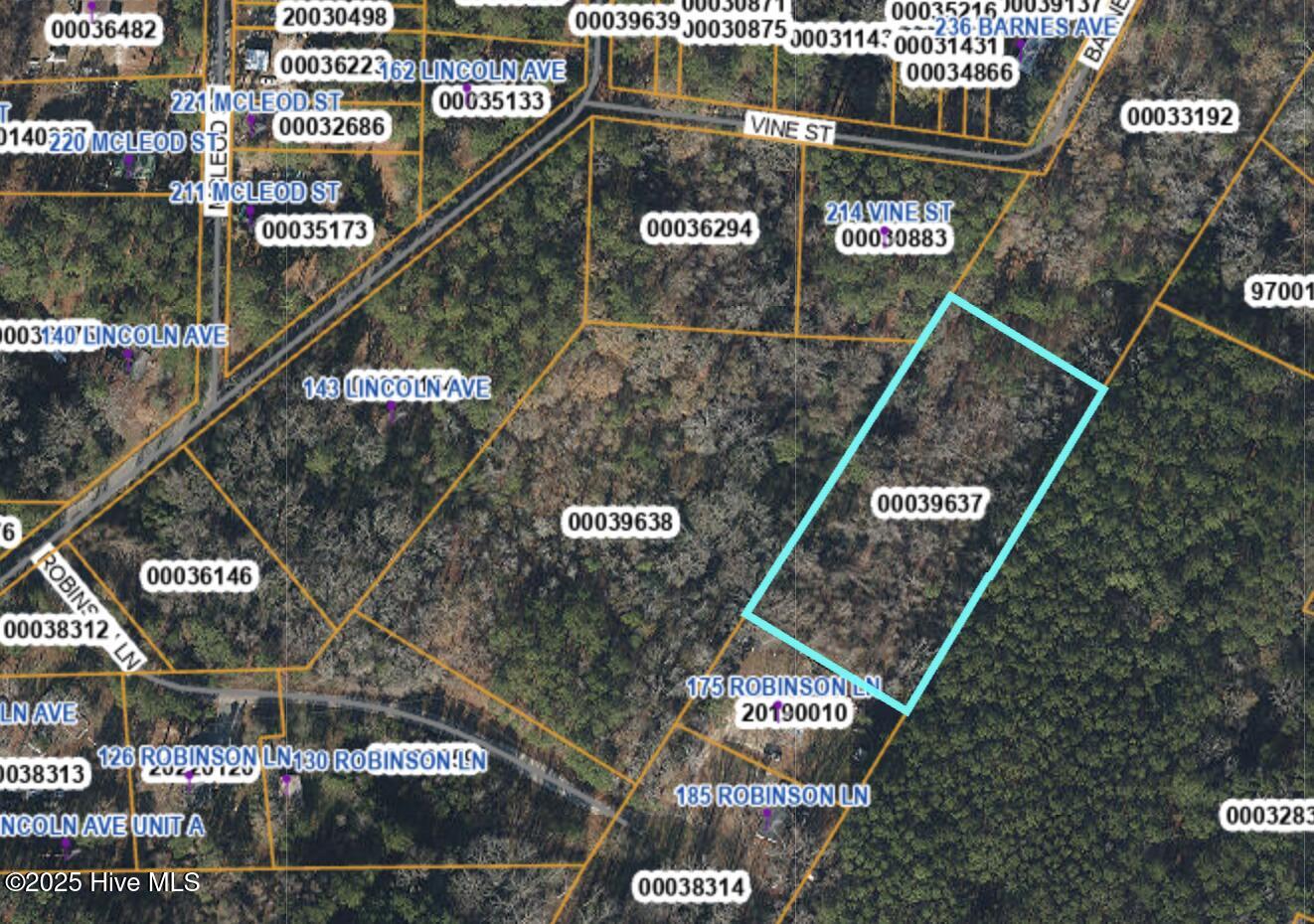 Tbd Robinson Lane Carthage, NC 28327 - Photo 3 of 3 GIS view
