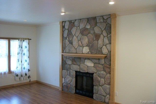3667 West Auburn Road Rochester, MI 48309 - Photo 7 of 22 Stone fireplace