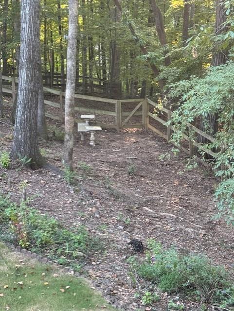 4055 Vista Point Lane Suwanee, GA 30024 - Photo 36 of 42 a backyard of a house with lots of green space