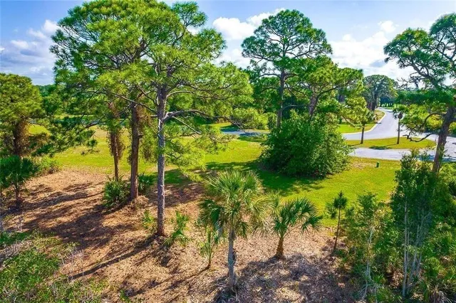 a view of a lake with a trees