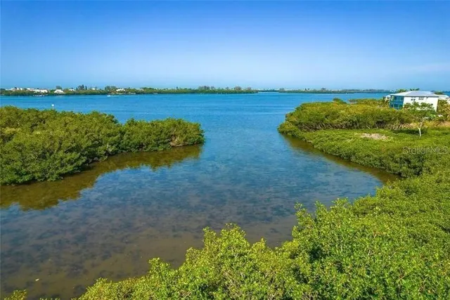 a view of a lake with houses in the background