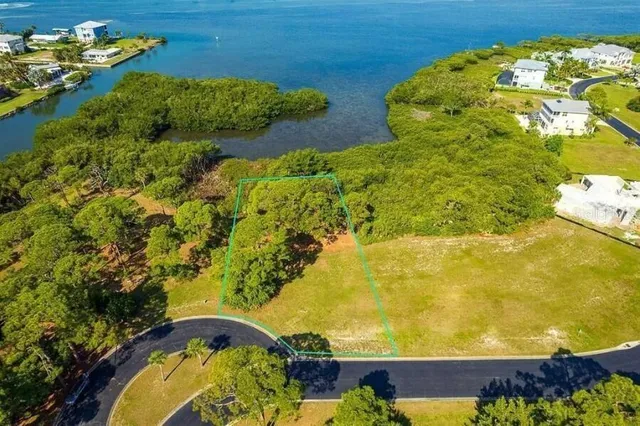 a view of a garden with plants