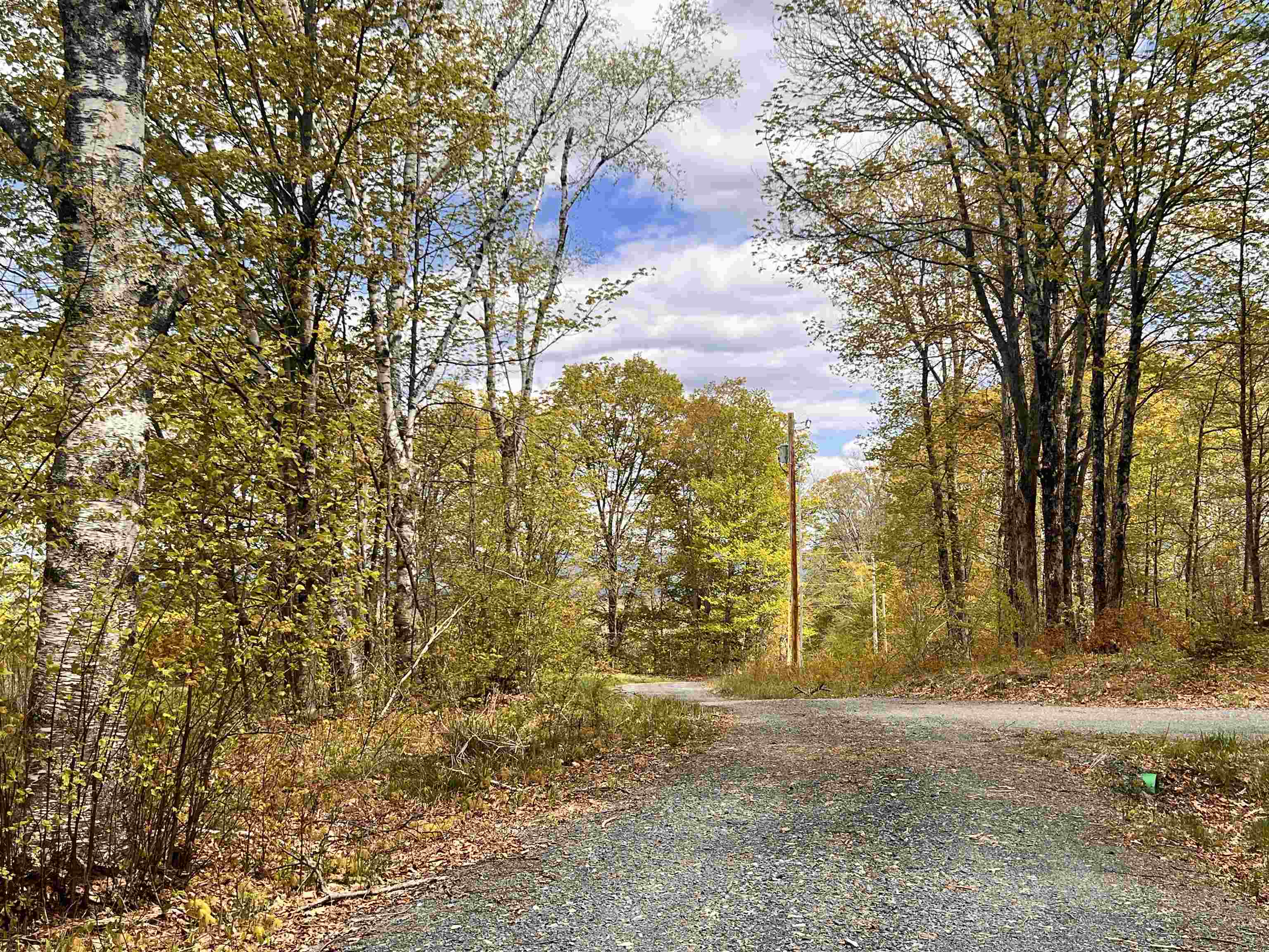 119 Advent Hill Road Hartland, VT 05048 - Photo 5 of 41