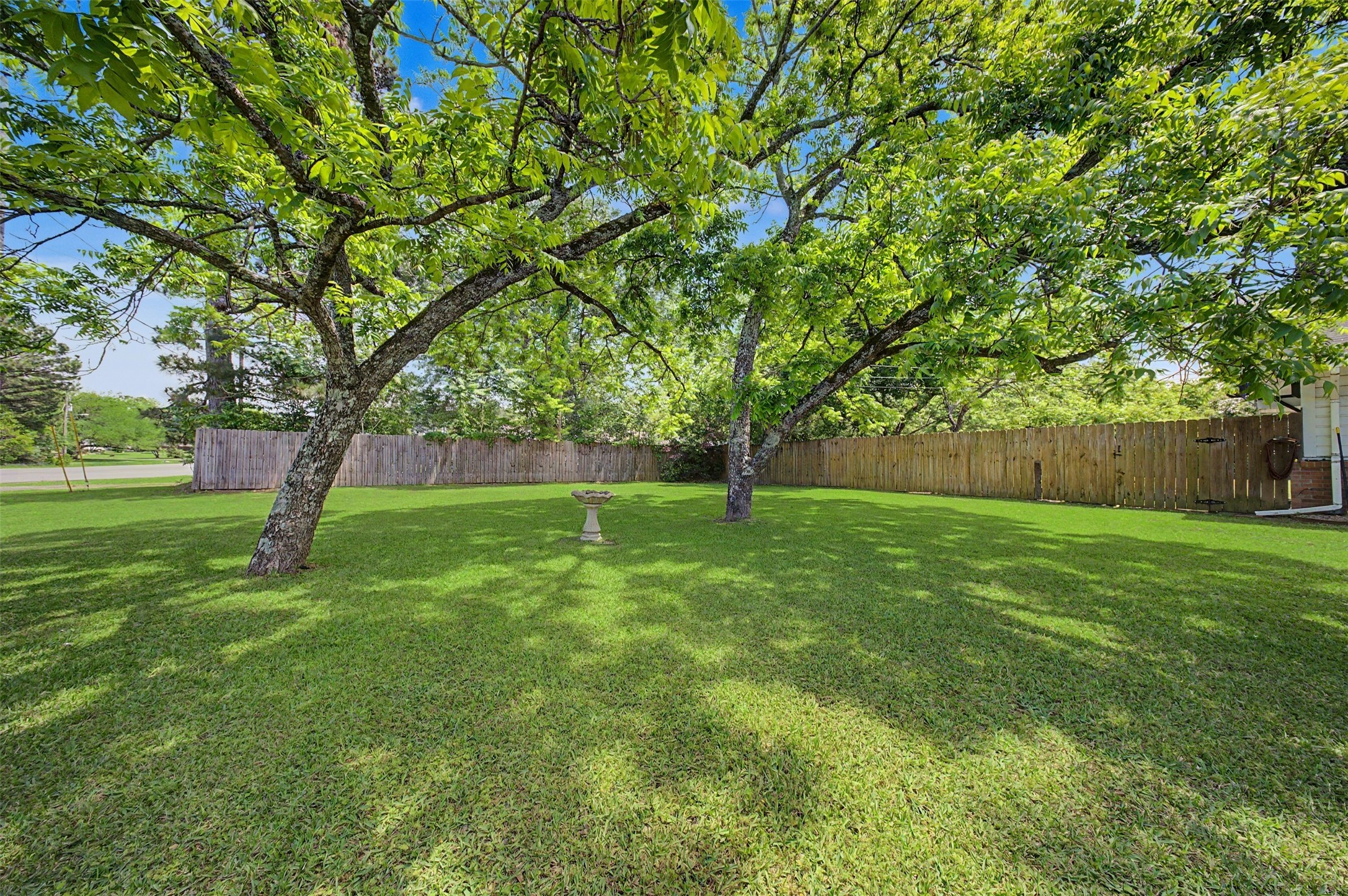 1442 East Johnson Drive Rusk, TX 75785 - Photo 5 of 34 Another view of this amazing lot. You're sure to love all of the stunning mature trees!