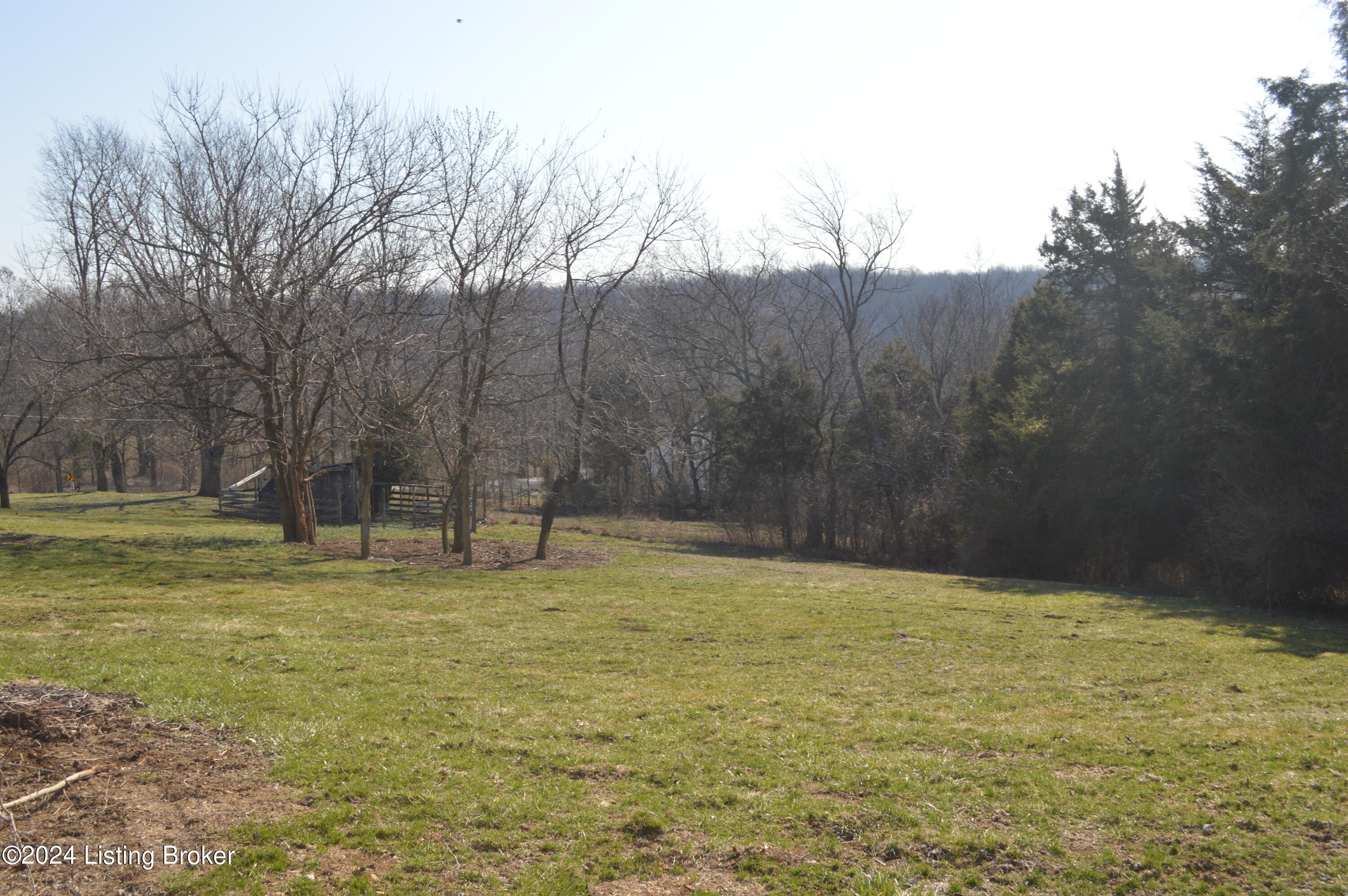 8197 Sulphur Road Sulphur, KY 40070 - Photo 19 of 19 DSC_0006
