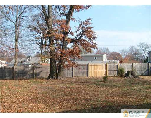 61 Winthrop Road Edison, NJ 08817 - Photo 5 of 6 a backyard of a house with lots of green space