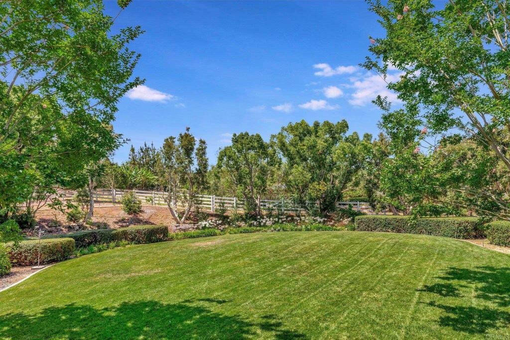 3331 Wildflower Valley Drive Encinitas, CA 92024 - Photo 22 of 26 Backyard