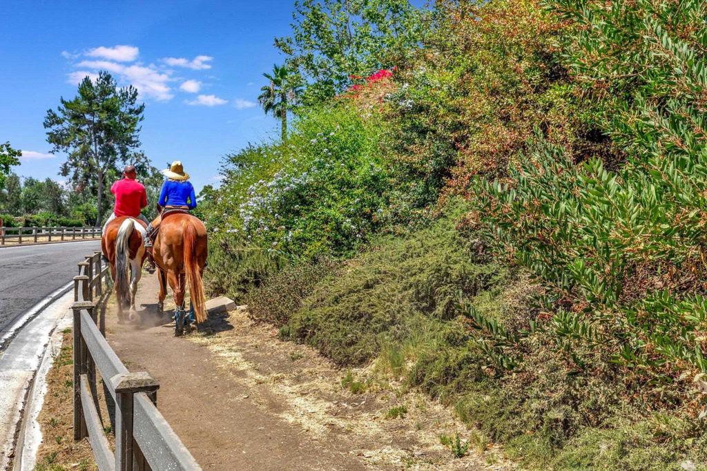 3331 Wildflower Valley Drive Encinitas, CA 92024 - Photo 26 of 26 Trail System