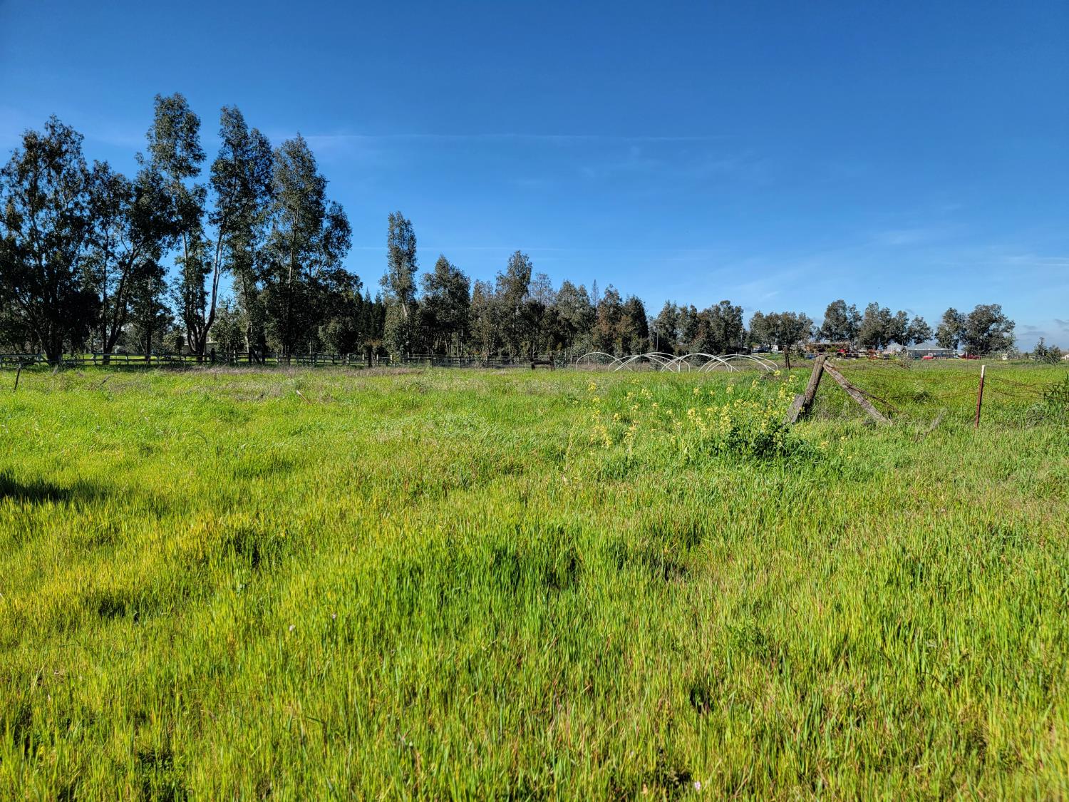 12234 Clay Station Road Herald, CA 95638 - Photo 37 of 43