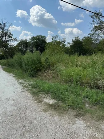 a view of a field of grass and trees