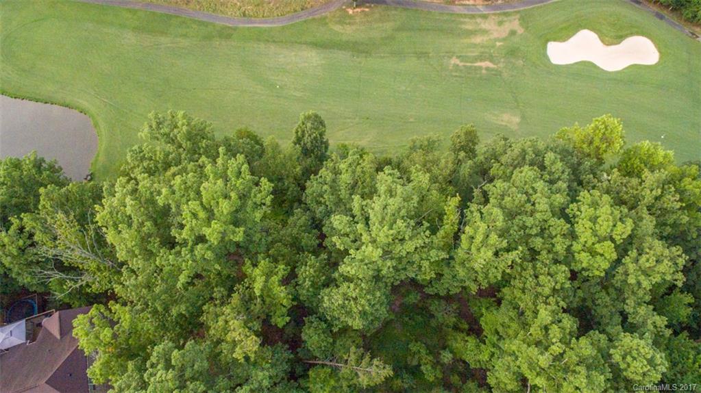 321 Golfview Crest Tega Cay, SC 29708 - Photo 1 of 8