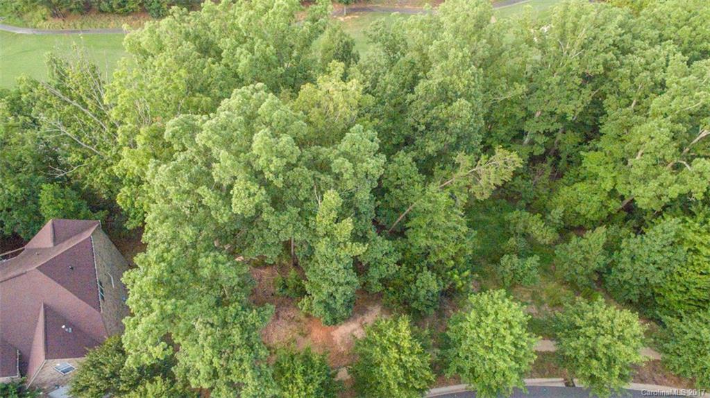 321 Golfview Crest Tega Cay, SC 29708 - Photo 3 of 8